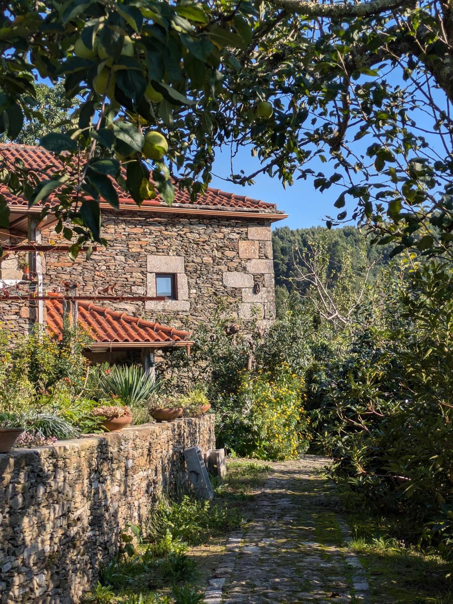 Vila Casa Do Valo Amonde Exteriér fotografie