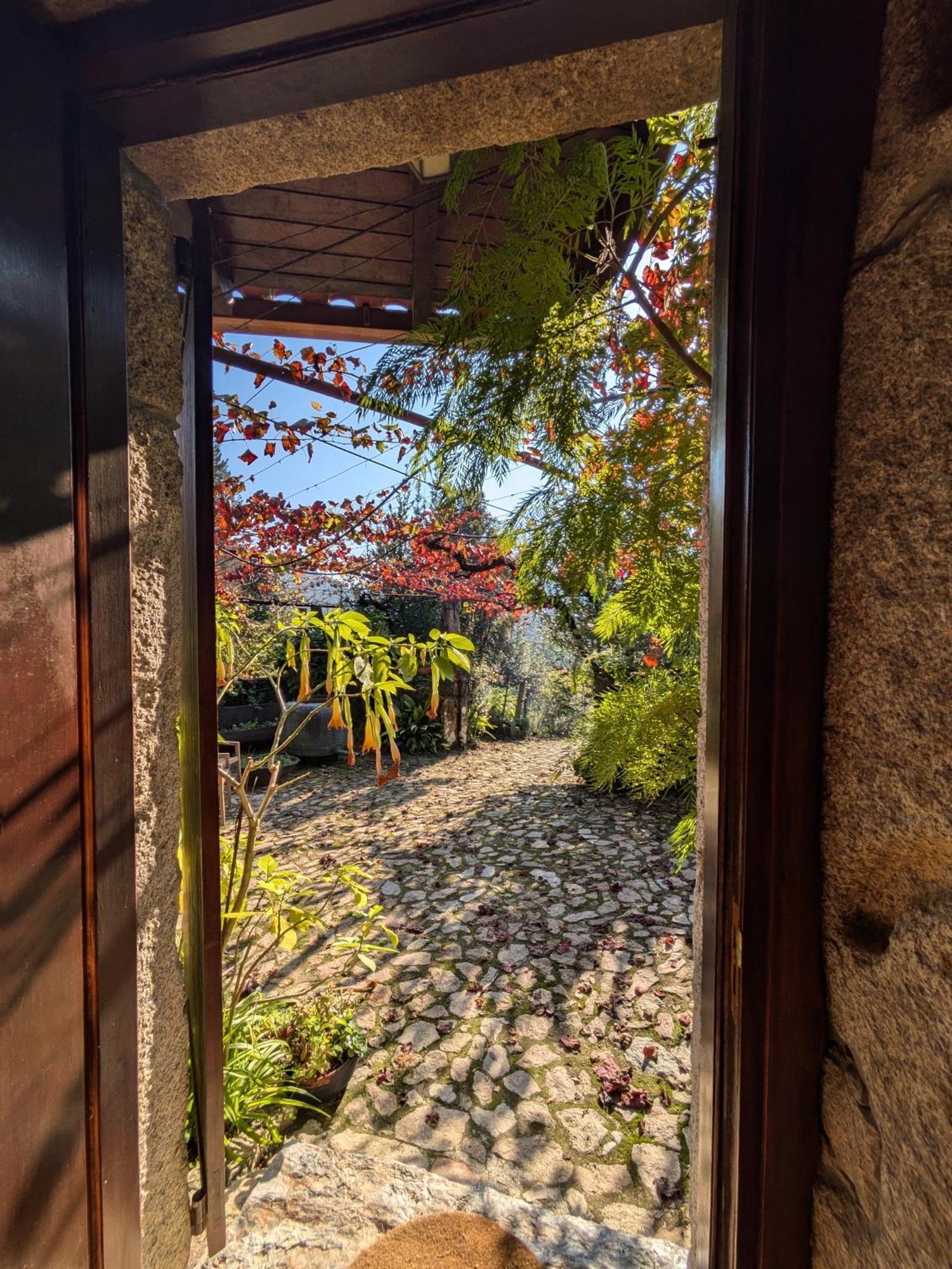 Vila Casa Do Valo Amonde Exteriér fotografie